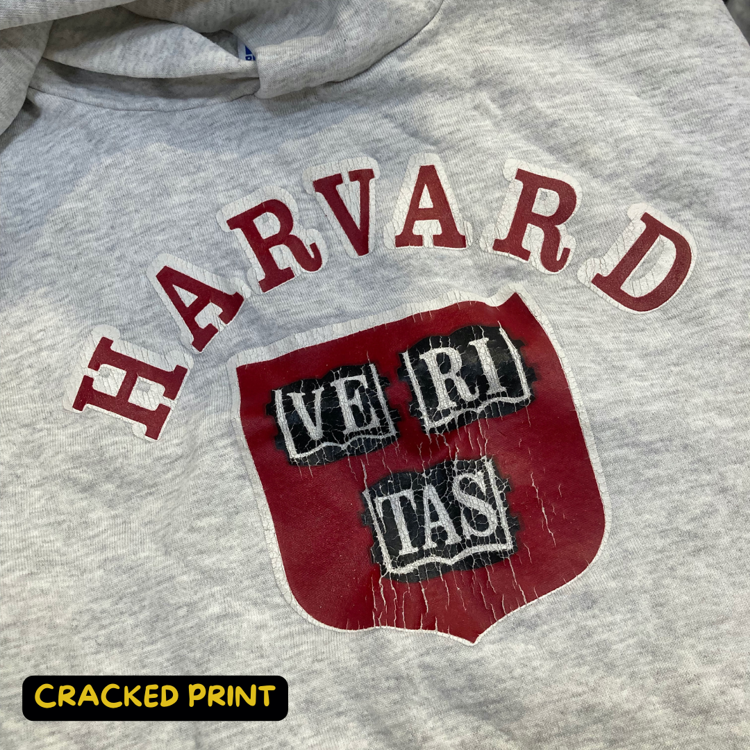 Sports & Printed Hoodies (Rework Grade Wholesale)
