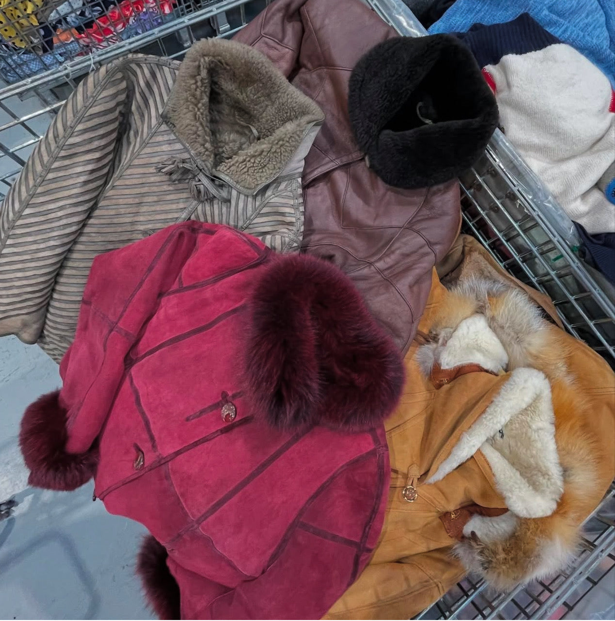 Shearling Coats & Jackets (Wholesale)